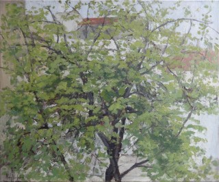 13  kourkouvelos 50x60
