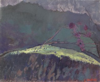 7  ntaoulas 2003  50x60